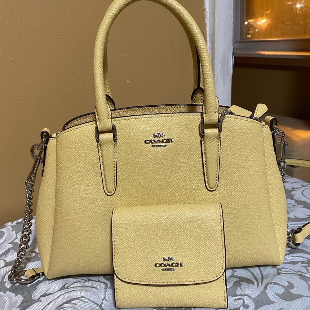 Coach mini lilli carryall with wallet